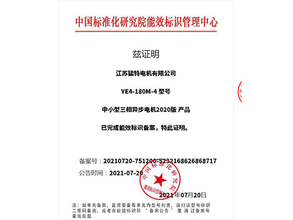 YE4二级能效证书